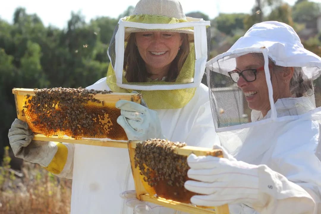 Deux apicultrices en tenue, souriantes, tiennent chacune un cadre couvert d’abeilles.